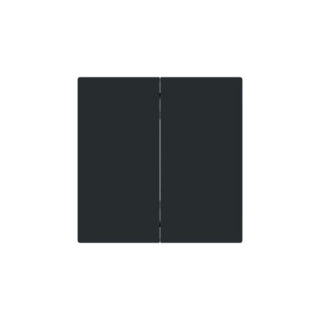 Busch-Jaeger 6736 FoH-45M Wippe 2-fach Smart Switch Schwarz Matt Art Linear 2CKA006730A0169
