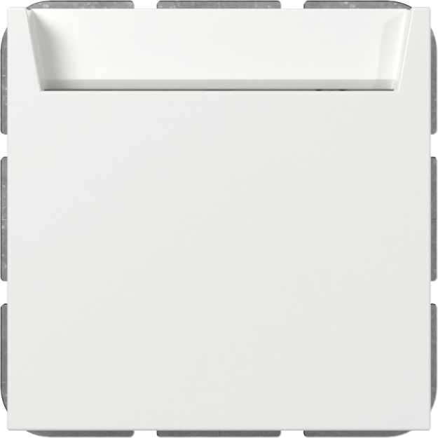 Gira 314003 Hotel-Card Schließer + N-Klemme System 55 Reinweiß