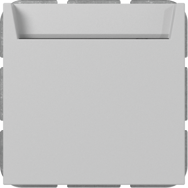 Gira 3140015 Hotel-Card Schließer + N-Klemme System 55 Grau m