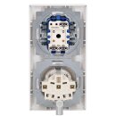 Busch-Jaeger Busch-balance SI Set: 20 EUCB-914 SCHUKO® Steckdosen-Einsatz mit erh. Berührungsschutz +  2000/5 US Wippschalter-Einsatz Serienschaltung + 2505-914 Serien-Wippe + 1722-914  2-fach Rahmen Alpinweiß