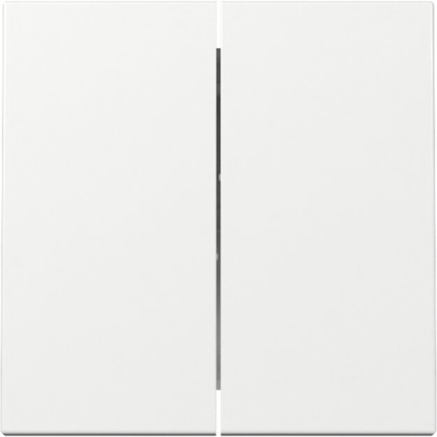 Gira Tastschalter Serien System 55 Set Reinweiß glänzend: 329503 Wippe 2-fach + 312500 Tastschalter Serien