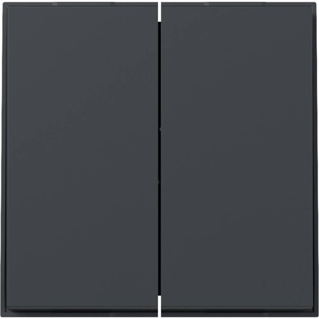 Gira Tastschalter Serien TX 44 Set Anthrazit: 349567 Wippe 2-fach + 312500 Tastschalter Serien