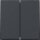 Gira Tastschalter Serien TX 44 Set Anthrazit: 349567 Wippe 2-fach + 312500 Tastschalter Serien