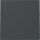Gira Kreuzschalter System 55 Set Anthrazit: 329628 Wippe + 312700 Tastschalter Kreuz