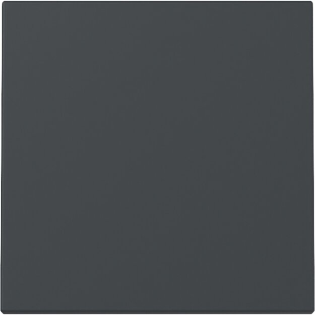 Gira Wechseltaster System 55 Set Anthrazit: 329628 Wippe + 315600 Wipptaster Wechsler Einsatz