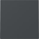 Gira Wechseltaster System 55 Set Anthrazit: 329628 Wippe...