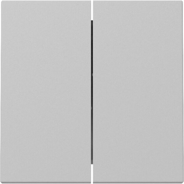Gira Tastschalter Serien System 55 Set Grau matt: 3295015 Wippe 2-fach + 312500 Tastschalter Serien