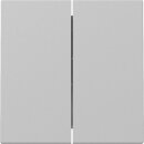 Gira Tastschalter Serien System 55 Set Grau matt: 3295015 Wippe 2-fach + 312500 Tastschalter Serien