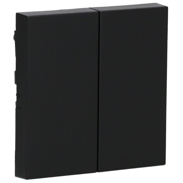 Gira Tastschalter Wechselschalter 2 fach System 55 Set Schwarz matt: 3295005 Wippe 2-fach + 312800 Tastschalter Wechselschalter 2-fach