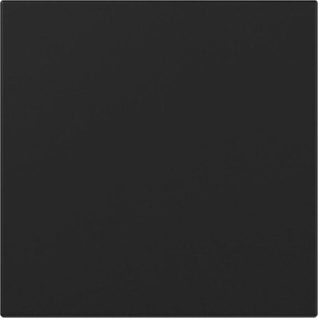 Gira Wechseltaster System 55 Set Schwarz matt: 3496005 Wippe gerade + 315600 Wipptaster Wechsler Einsatz