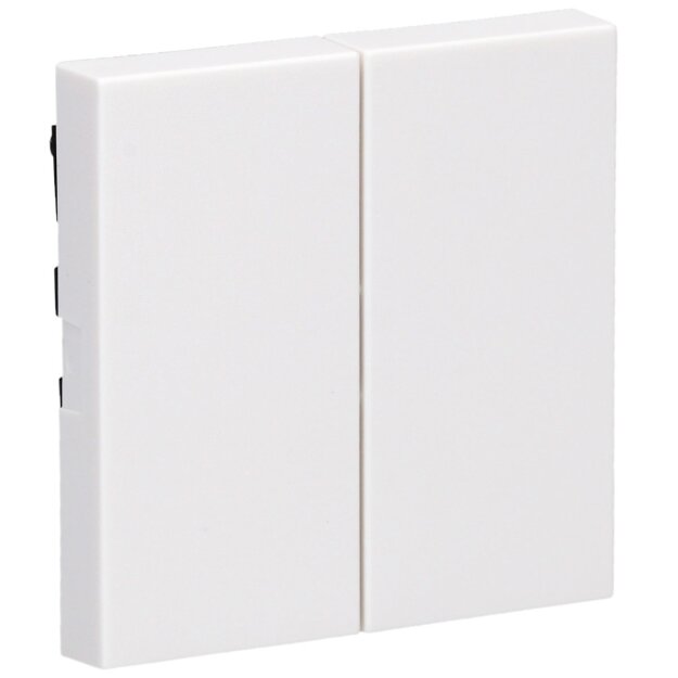 Gira Tastschalter Wechselschalter 2 fach System 55 Set...