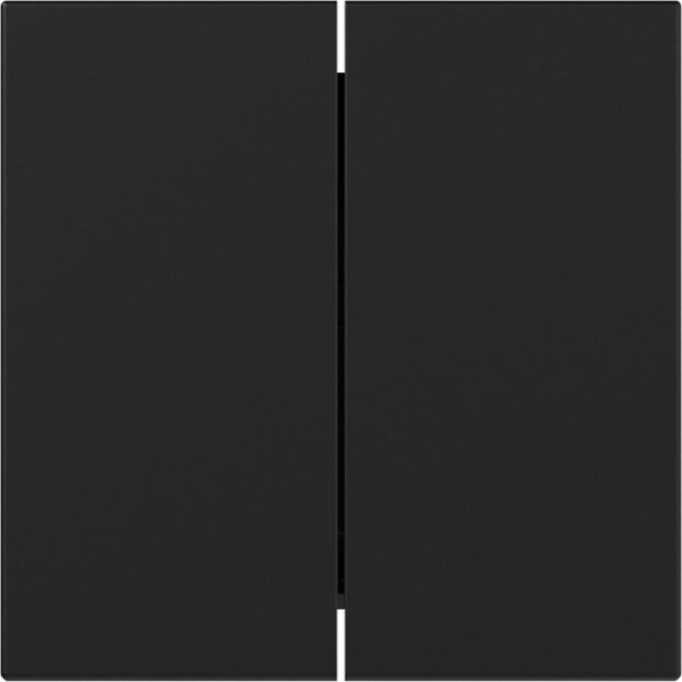 Gira Tastschalter Serien System 55 Set Schwarz matt: 3495005 Wippe 2-fach gerade + 312500 Tastschalter Serien