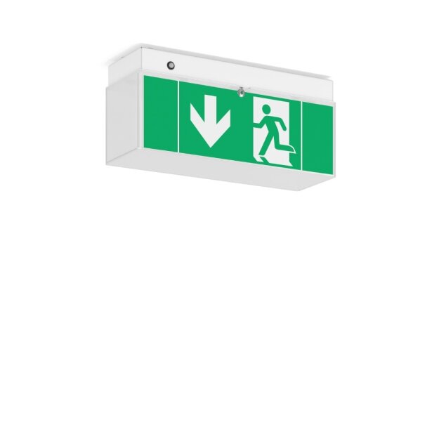 RZB 672188.002.07 LED-Notleuchte Minisign DALI-Bus