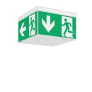 RZB 672300.002.1 LED-Sicherheitsleuchte Signcube Midi EB...
