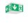 RZB 672300.002.1 LED-Sicherheitsleuchte Signcube Midi EB 3h 765 weiß