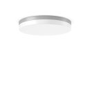 RZB 312633.004 LED-Wand u.Deckenleuchte  830/840 ML silber