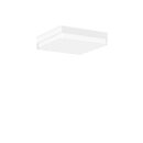 RZB 312537.002 LED-Wand-/Deckenleuchte Flat Slim+ 830/840