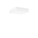 RZB 312538.002 LED-Wand-/Deckenleuchte Flat Slim+ 830/840