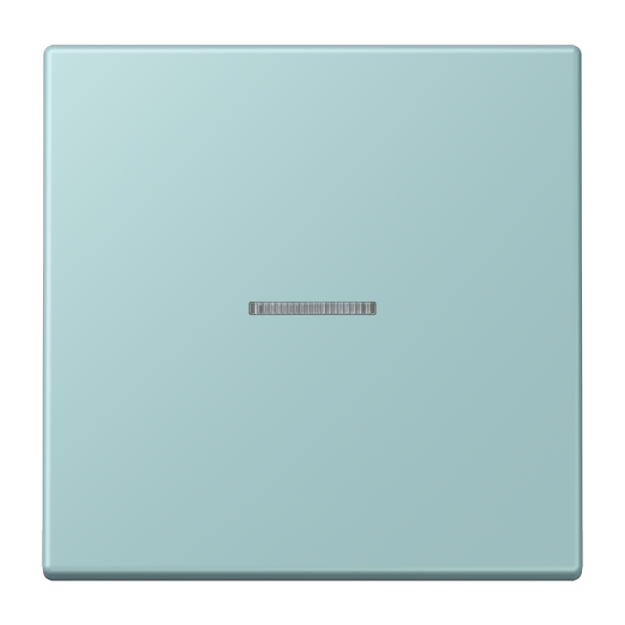 Jung FMLC1700214 eNet Taster Standard 1fach Duroplast lackiert Serie LS céruléen clair