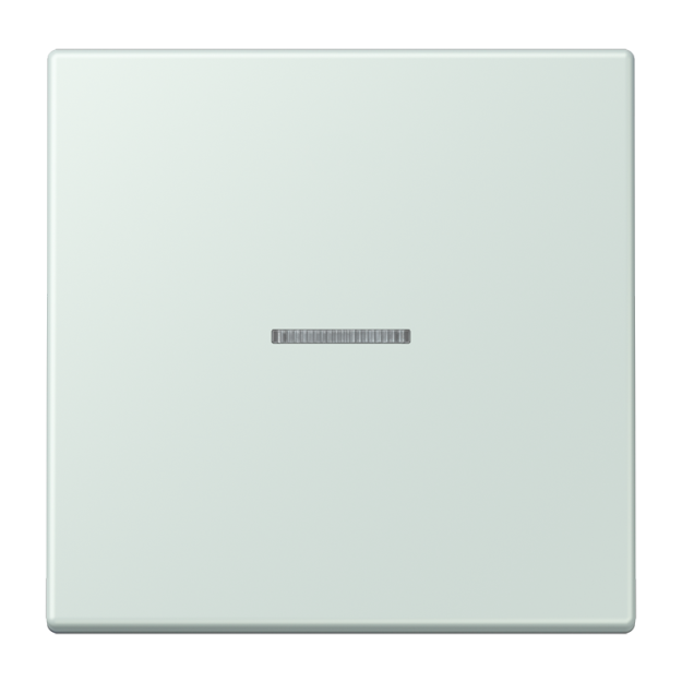 Jung FMLC1700215 eNet Taster Standard 1fach Duroplast lackiert Serie LS céruléen pâle