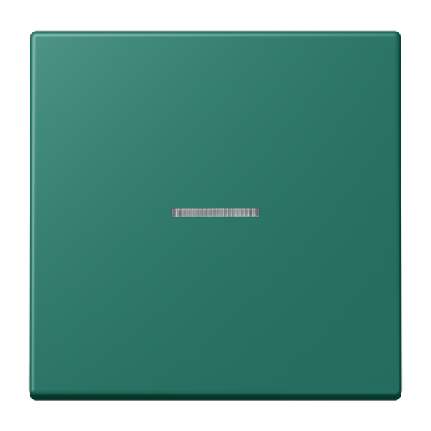 Jung FMLC1700216 eNet Taster Standard 1fach Duroplast lackiert Serie LS vert anglais