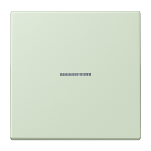 Jung FMLC1700218 eNet Taster Standard 1fach Duroplast lackiert Serie LS vert anglais pâle