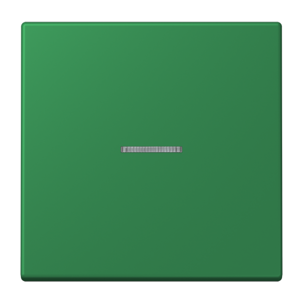 Jung FMLC1700219 eNet Taster Standard 1fach Duroplast lackiert Serie LS vert foncé