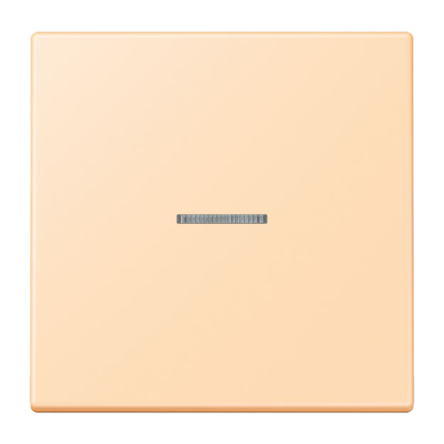 Jung FMLC1700223 eNet Taster Standard 1fach Duroplast lackiert Serie LS ocre