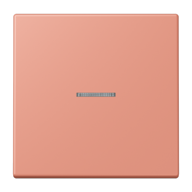 Jung FMLC1700233 eNet Taster Standard 1fach Duroplast lackiert Serie LS l’ocre rouge moyen