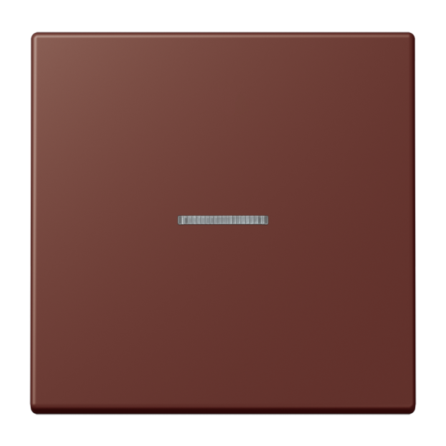 Jung FMLC1700235 eNet Taster Standard 1fach Duroplast lackiert Serie LS terre sienne brûlée 31
