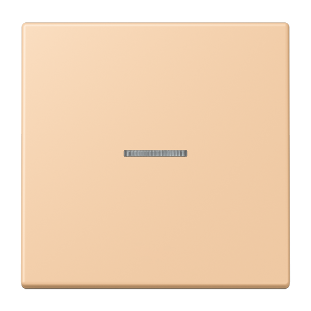 Jung FMLC1700237 eNet Taster Standard 1fach Duroplast lackiert Serie LS terre sienne claire 31