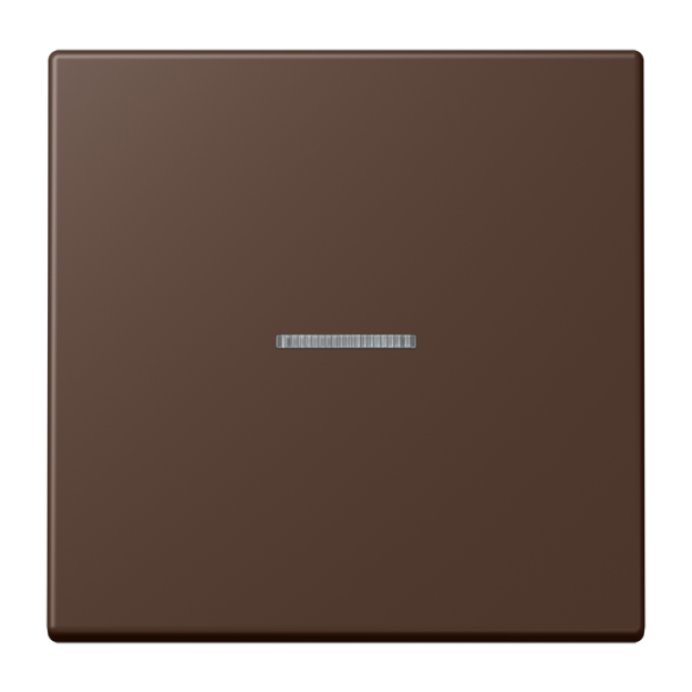 Jung FMLC1700239 eNet Taster Standard 1fach Duroplast lackiert Serie LS terre d’ombre brûlée 31