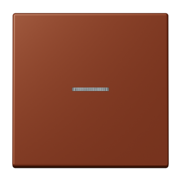 Jung FMLC1700247 eNet Taster Standard 1fach Duroplast lackiert Serie LS terre sienne brûlée 59