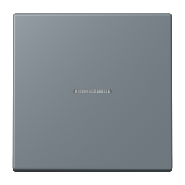 Jung FMLC1700251 eNet Taster Standard 1fach Duroplast lackiert Serie LS gris 59