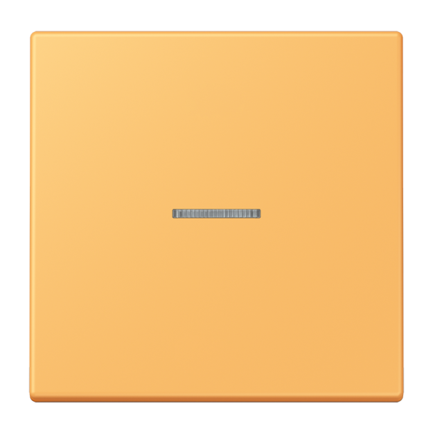Jung FMLC1700254 eNet Taster Standard 1fach Duroplast lackiert Serie LS ocre jaune clair