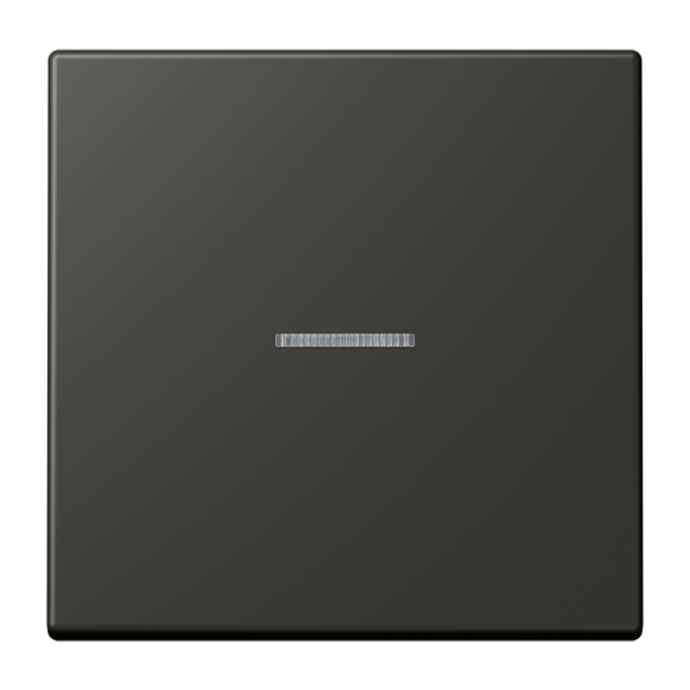 Jung FMLC1700259 eNet Taster Standard 1fach Duroplast lackiert Serie LS ombre naturelle 59