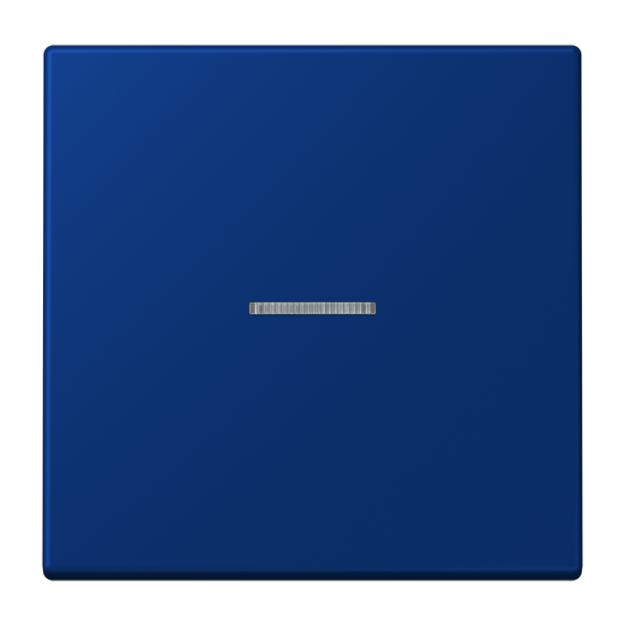 Jung FMLC1700261 eNet Taster Standard 1fach Duroplast lackiert Serie LS bleu outremer foncé