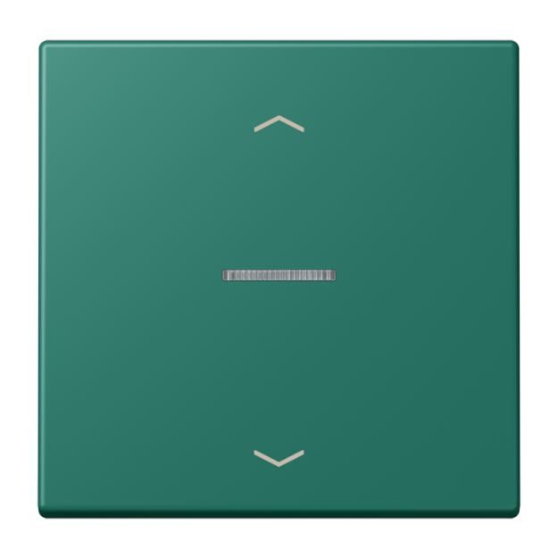 Jung FMLC1700P216 eNet Taster Standard 1fach mit Pfeilsymbolen Duroplast lackiert Serie LS vert anglais
