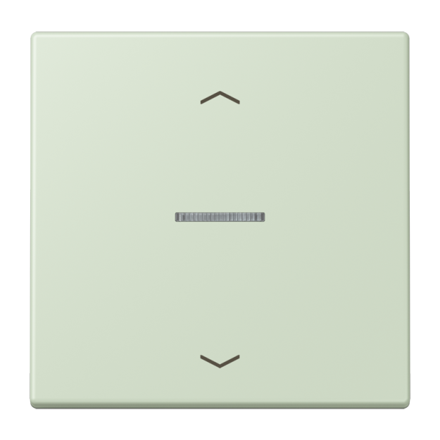 Jung FMLC1700P218 eNet Taster Standard 1fach mit Pfeilsymbolen Duroplast lackiert Serie LS vert anglais pâle