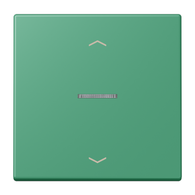 Jung FMLC1700P250 eNet Taster Standard 1fach mit Pfeilsymbolen Duroplast lackiert Serie LS vert 59
