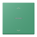Jung FMLC1700P250 eNet Taster Standard 1fach mit...