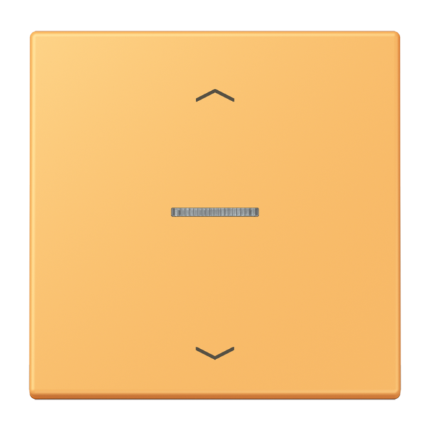 Jung FMLC1700P254 eNet Taster Standard 1fach mit Pfeilsymbolen Duroplast lackiert Serie LS ocre jaune clair