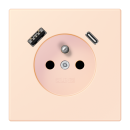 Jung LC1520F-15CA226 Steckdose...
