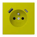 Jung LC1520F-15CA249 Steckdose...