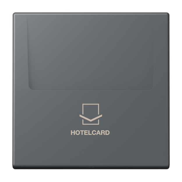 Jung LC590CARD202 Hotelcard-Schalter  Hotelcard Serie LS gris foncé 31