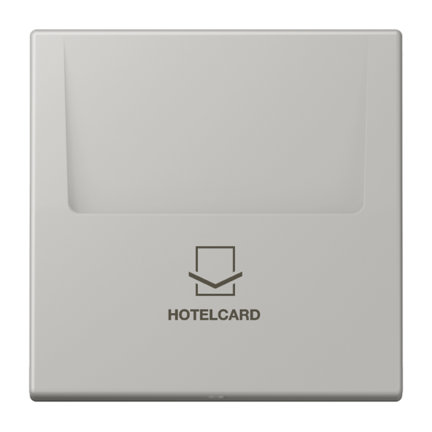 Jung LC590CARD205 Hotelcard-Schalter  Hotelcard Serie LS gris clair 31