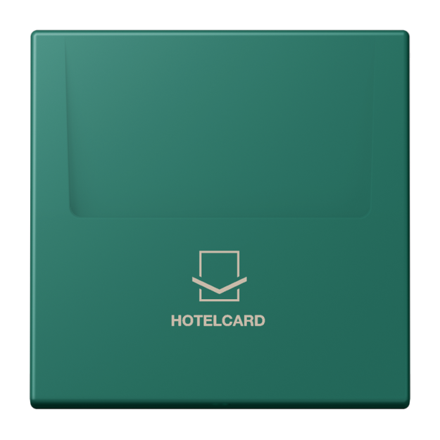 Jung LC590CARD216 Hotelcard-Schalter  Hotelcard Serie LS vert anglais