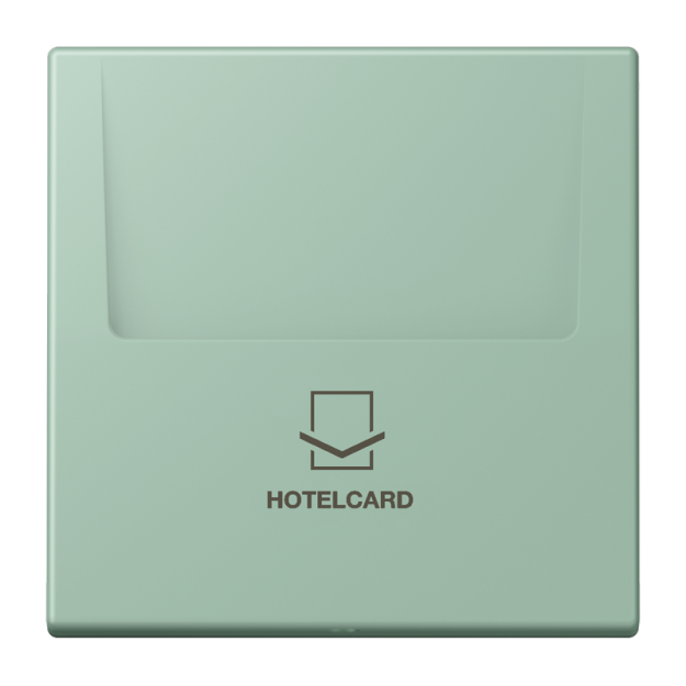 Jung LC590CARD217 Hotelcard-Schalter  Hotelcard Serie LS vert anglais clair