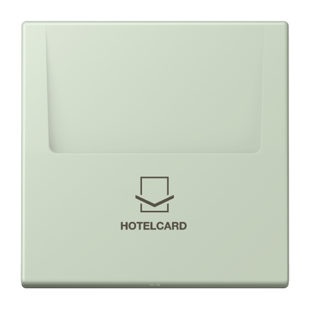 Jung LC590CARD218 Hotelcard-Schalter  Hotelcard Serie LS vert anglais pâle