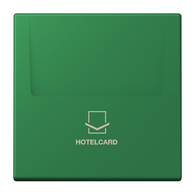 Jung LC590CARD219 Hotelcard-Schalter  Hotelcard Serie LS vert foncé